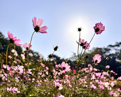 ��ɣ�����ֻ����㡿