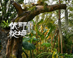 ���Ҽ���Ȼ�����������ؾ�